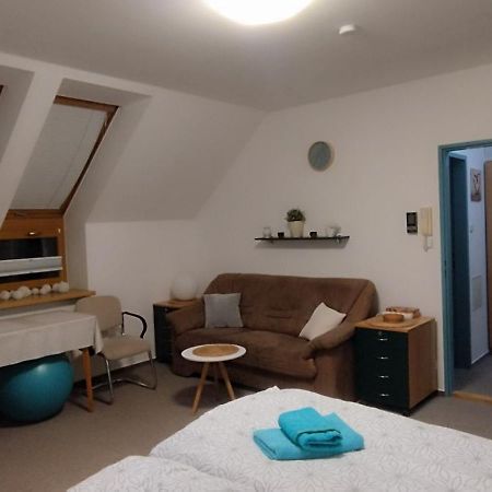 Apartment Bertik Třeboň Екстериор снимка